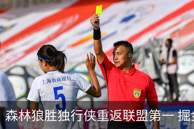 森林狼胜独行侠重返联盟第一 掘金胜篮网3连胜