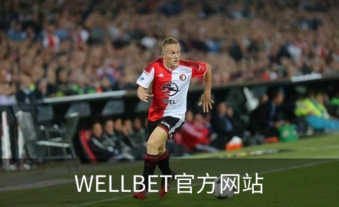 关于WELLBET官方网站